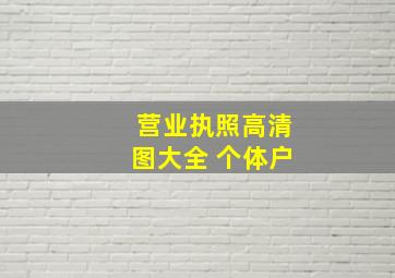 营业执照高清图大全 个体户